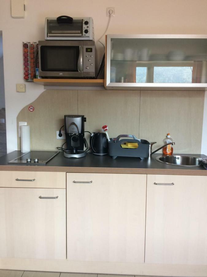 Ferienwohnung Frieser Steindorf am Ossiacher See Zewnętrze zdjęcie